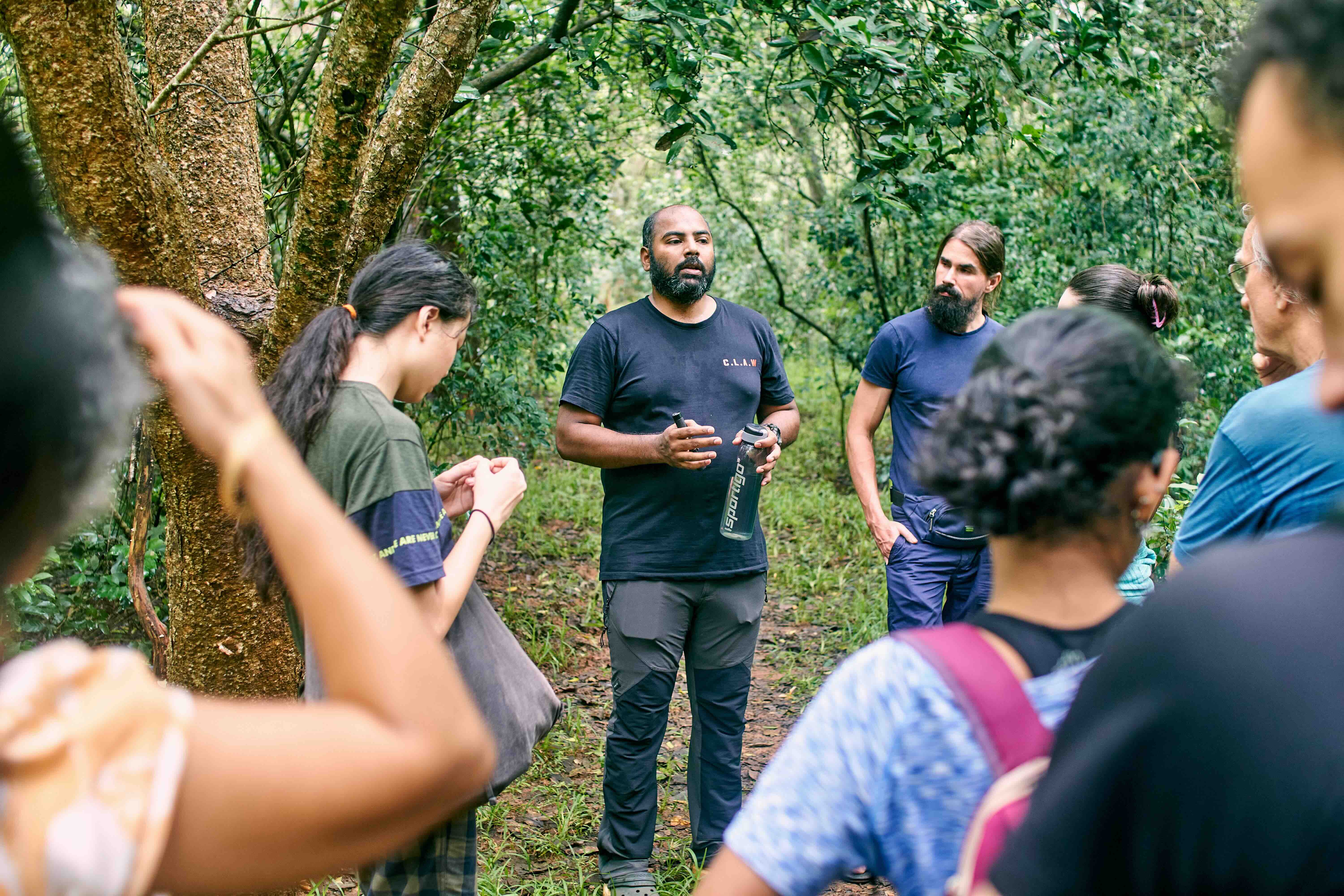Aerial photograph of open land